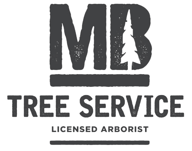 MBTree
