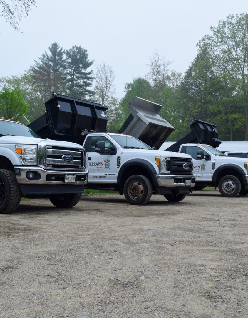 multiple vehicles parked in a dirt lot after being undercoated using Fluid Film - undercoating, rust protection, rust proofing